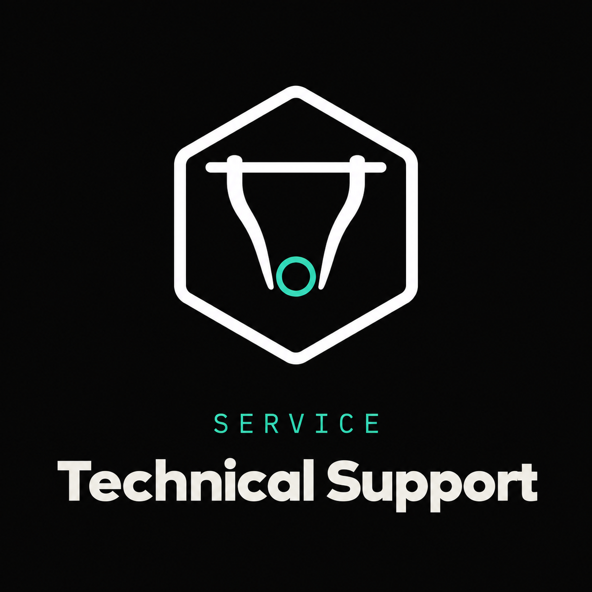 Technical Support for Customization